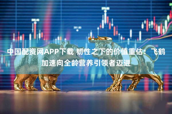 中国配资网APP下载 韧性之下的价值重估：飞鹤加速向全龄营养引领者迈进
