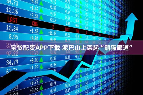 宝贷配资APP下载 泥巴山上架起“熊猫廊道”
